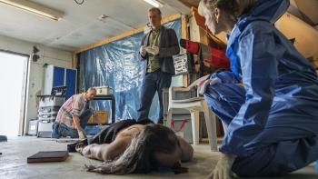 Sommerdahl Murders